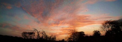 Sunset of Wispy Clouds (4)