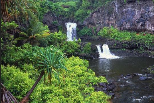 Tropical scene, waterfalls in forest, cliffs, bridge