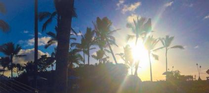Sun near horizon behind palms, radiant