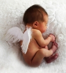 Baby, newborn with wings, cropped