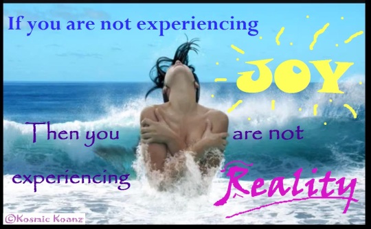 IQ KK - Joy, Reality