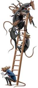 IQ POSTER cartoon - rats climbing corp ladder